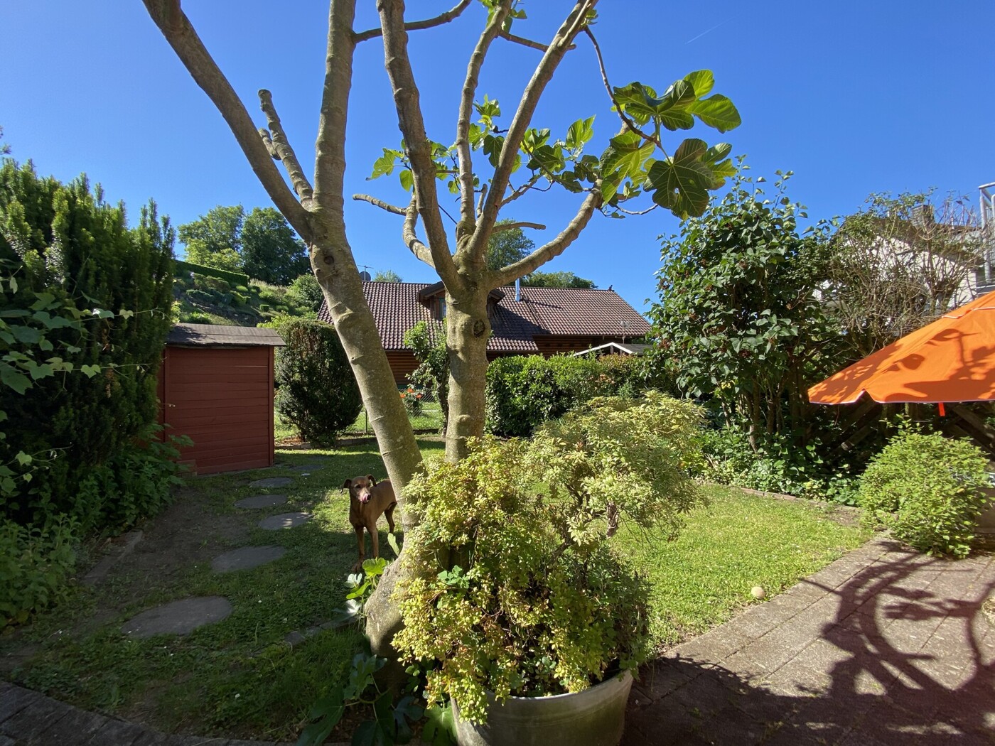 Garten2