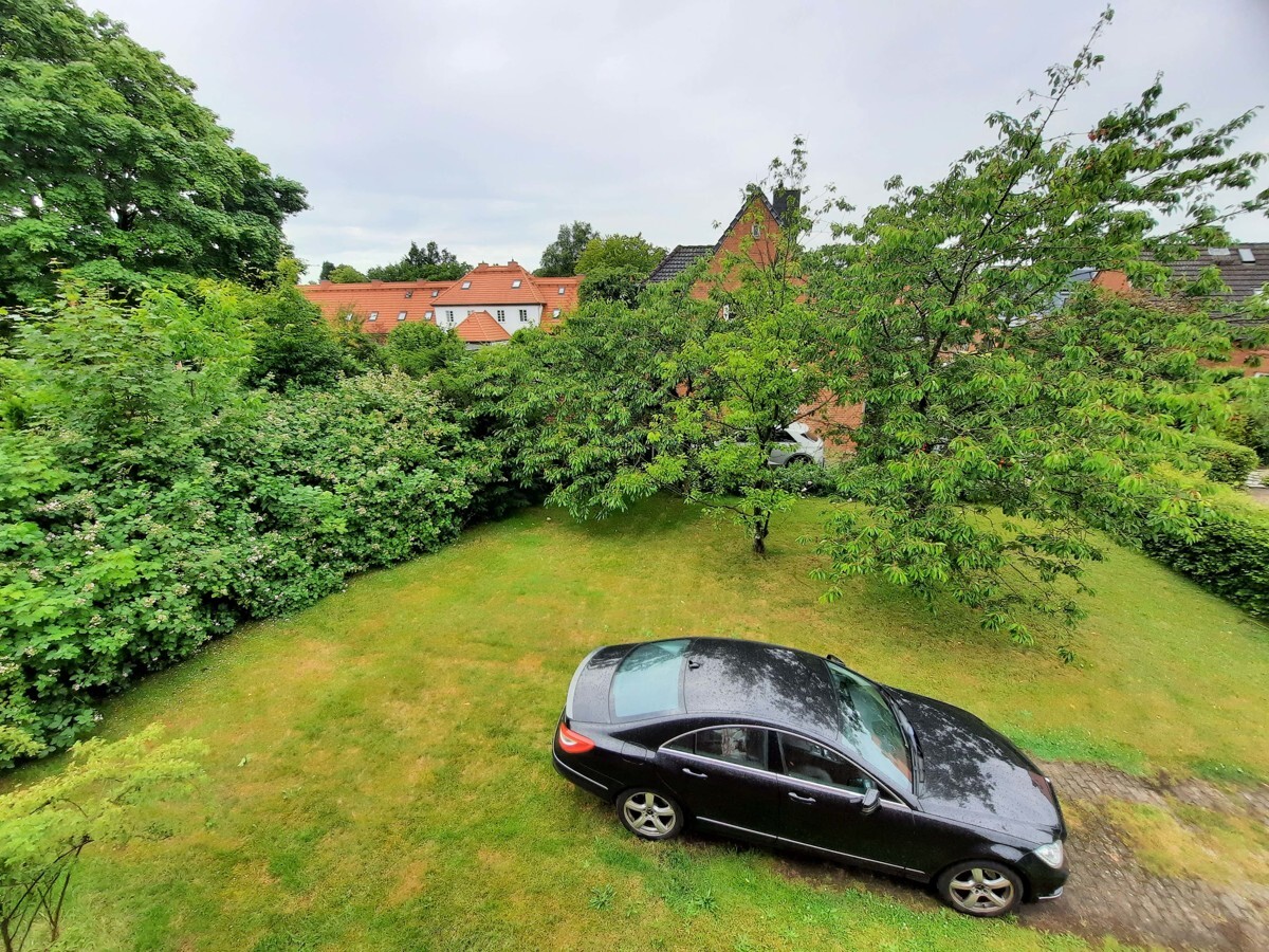 Blick in den Garten