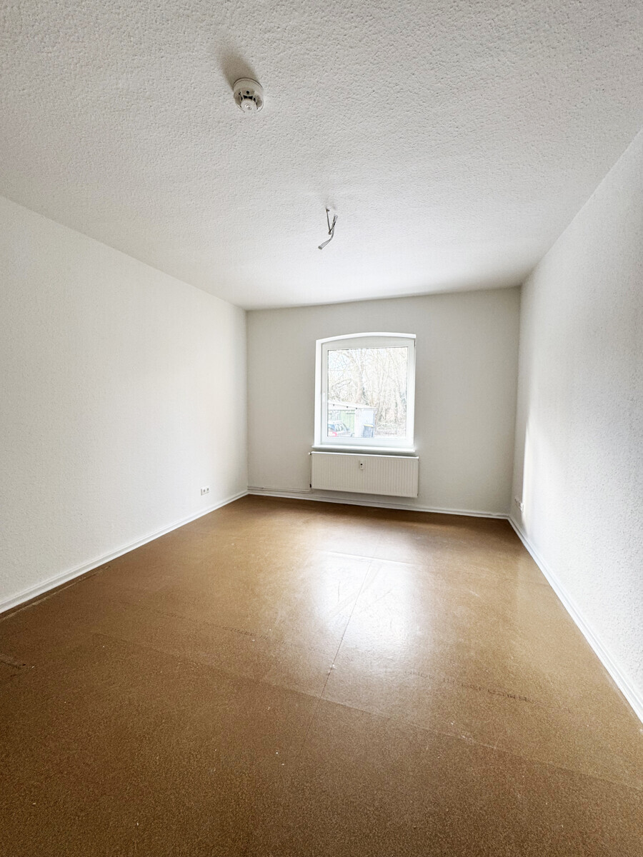 Zimmer III