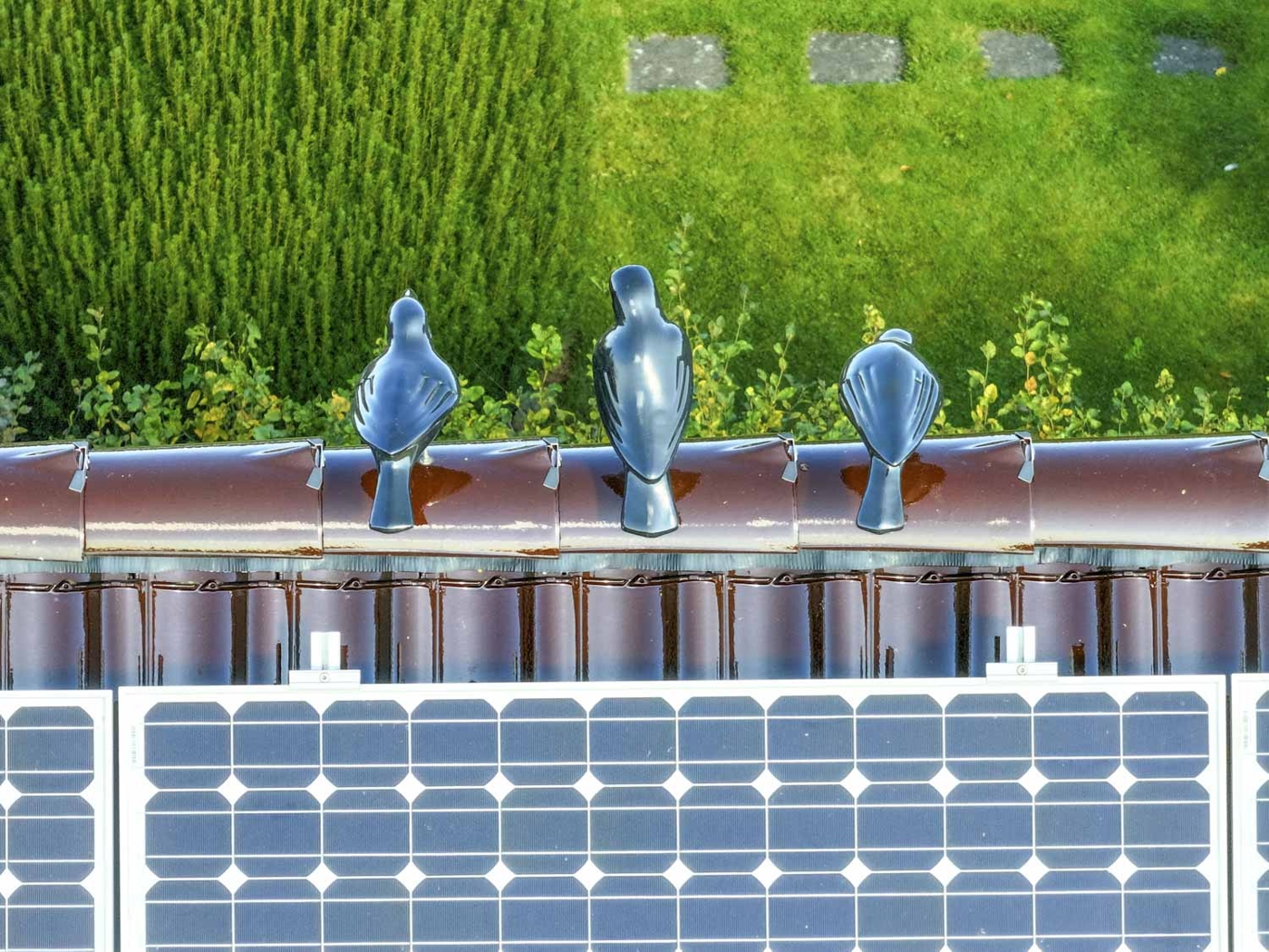 EFH-23898-Sandesneben-Thonhauser-Immobilien-GmbH-7