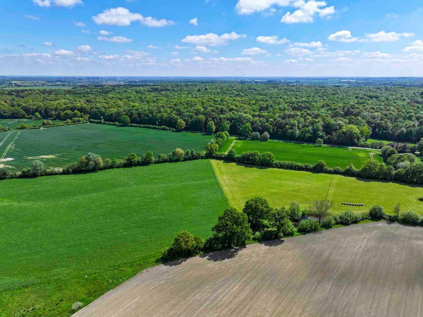 EFH-22929-Kasseburg-Thonhauser-Immobilien-GmbH--3