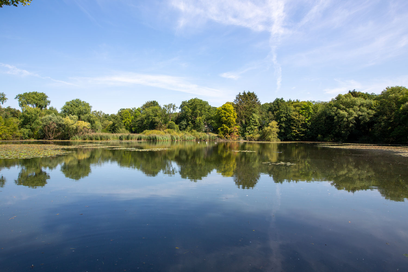 EFH-22946-Trittau-Thonhauser-Immobilien-GmbH-2049