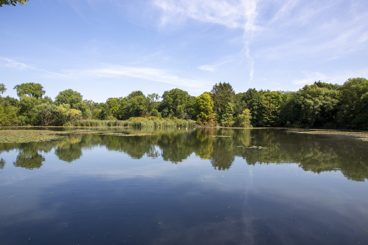 Bungalow-22946-Trittau-Thonhauser-Immobilien-GmbH-4