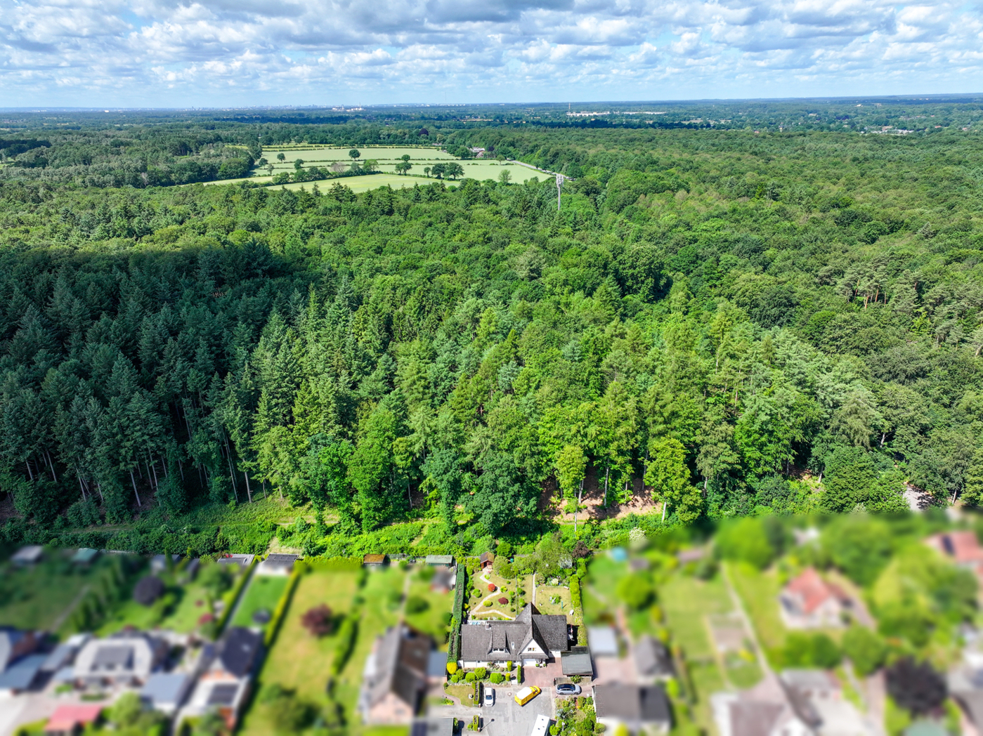 MFH-22952-Lütjensee-Thonhauser-Immobilien-GmbH-18