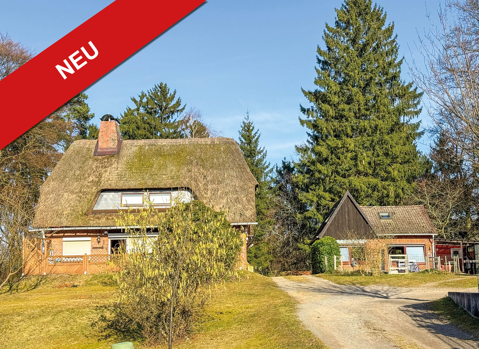 ! Neu ! Reetdachhaus mit Nebengebäude und großem Grundstück in 22952 Lütjensee