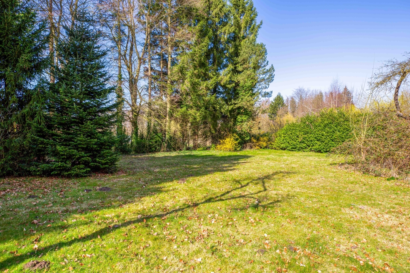 EFH-22965-Todendorf-Thonhauser-Immobilien-GmbH-11