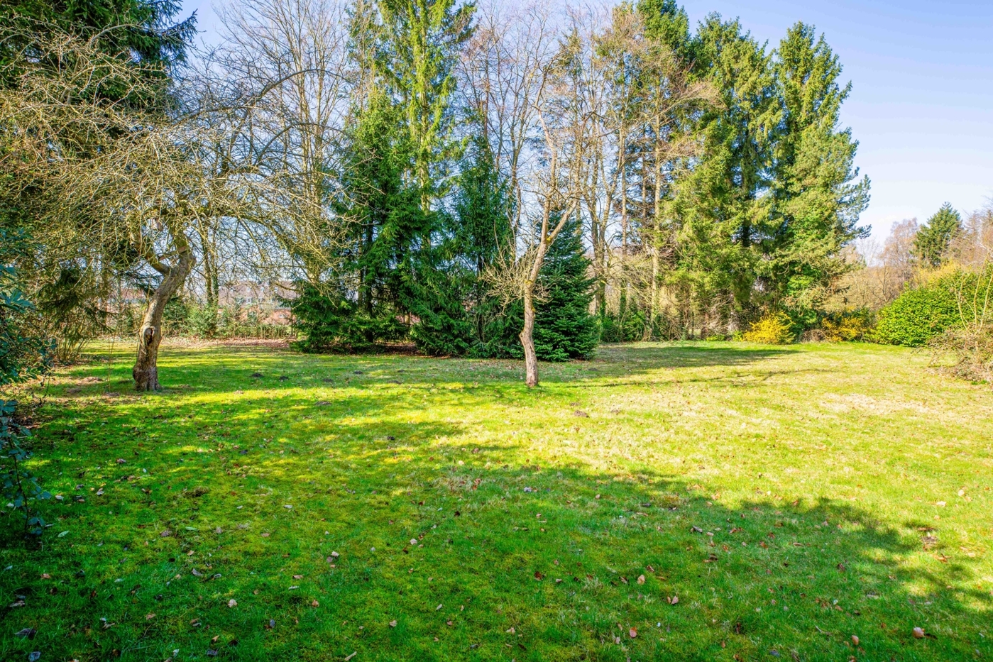 EFH-22965-Todendorf-Thonhauser-Immobilien-GmbH-10