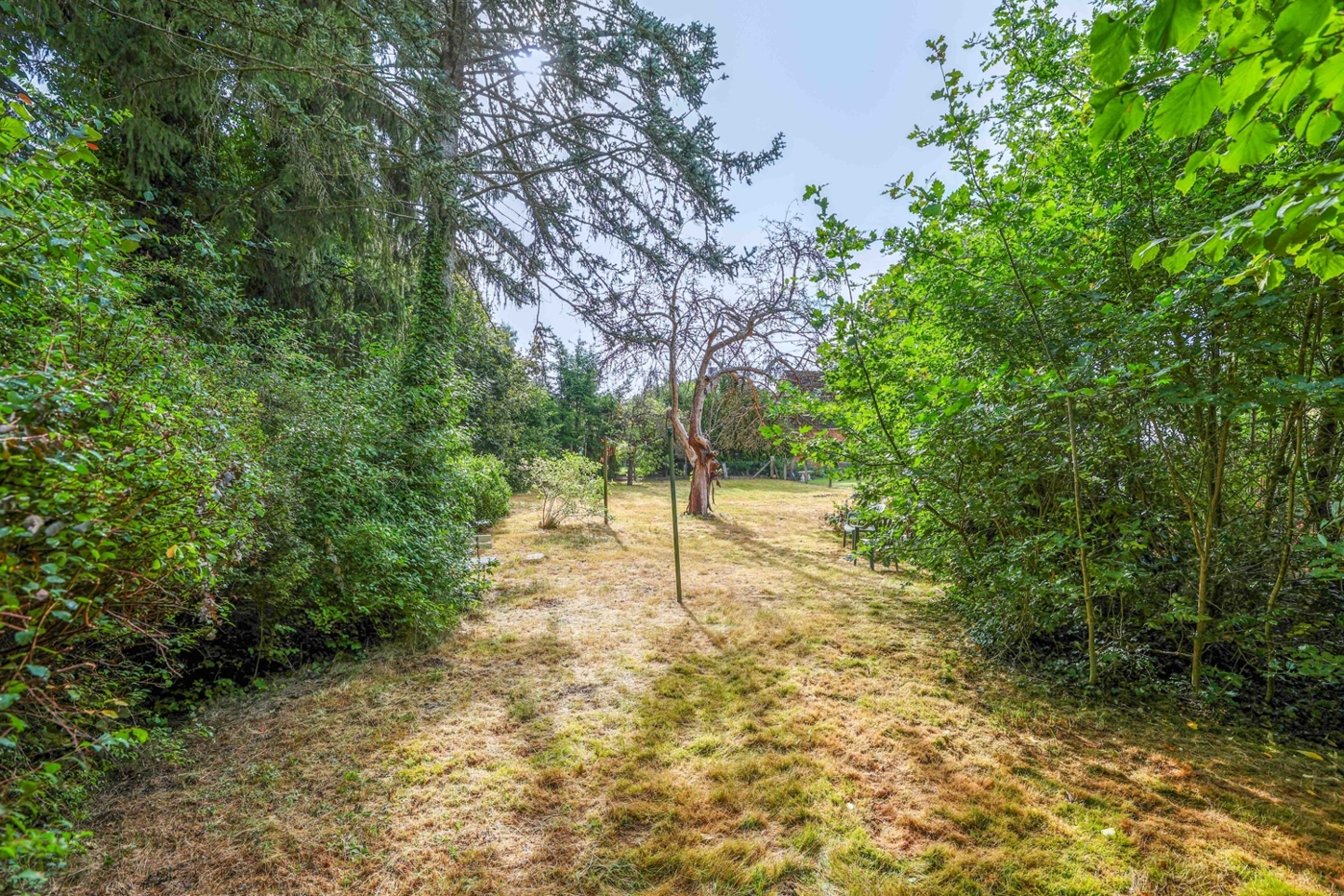 Grundstück-22946-Trittau-Thonhauser-Immobilien-GmbH-4