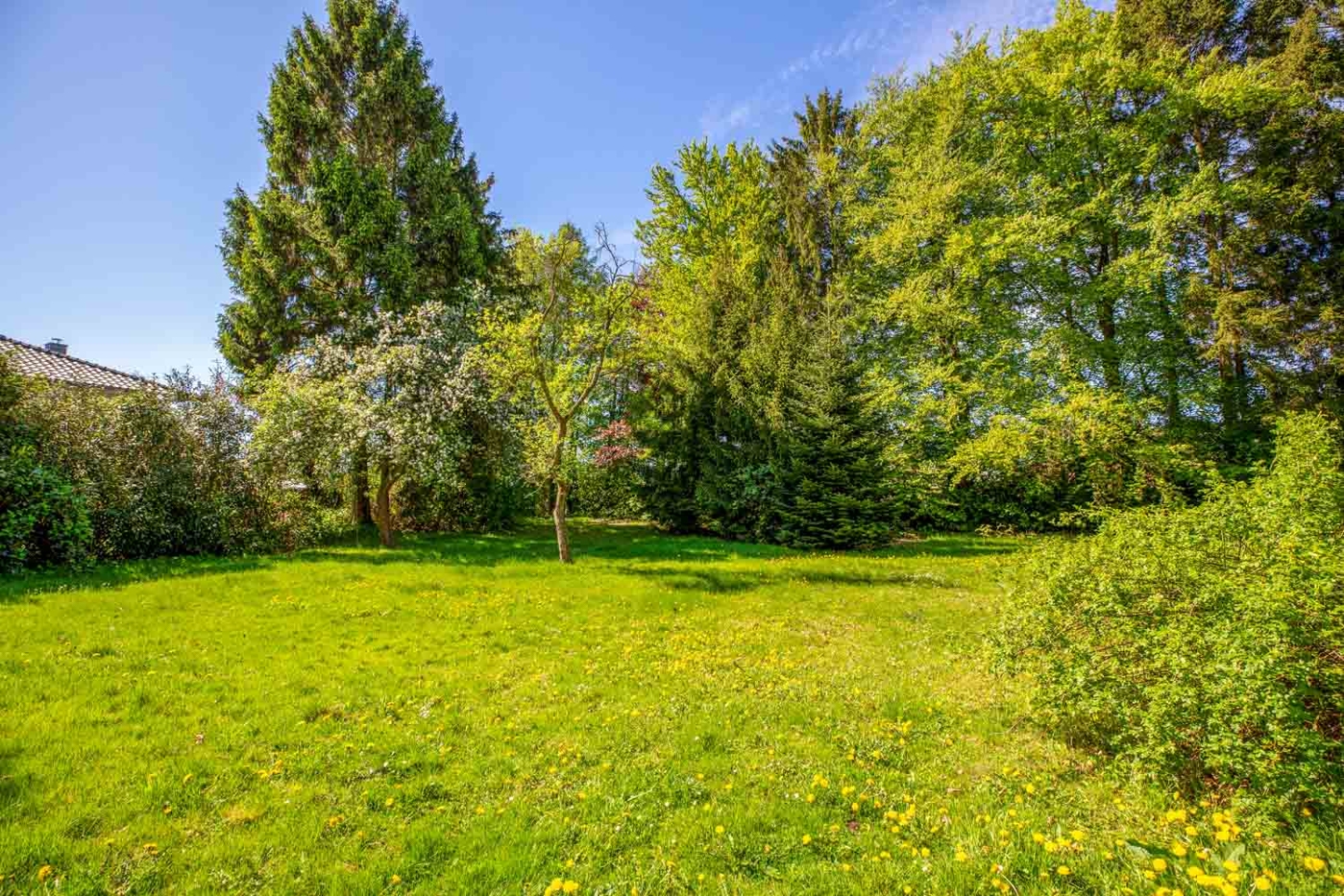 Grundstück-22956-Grönwohld-Thonhauser-Immobilien-GmbH-5
