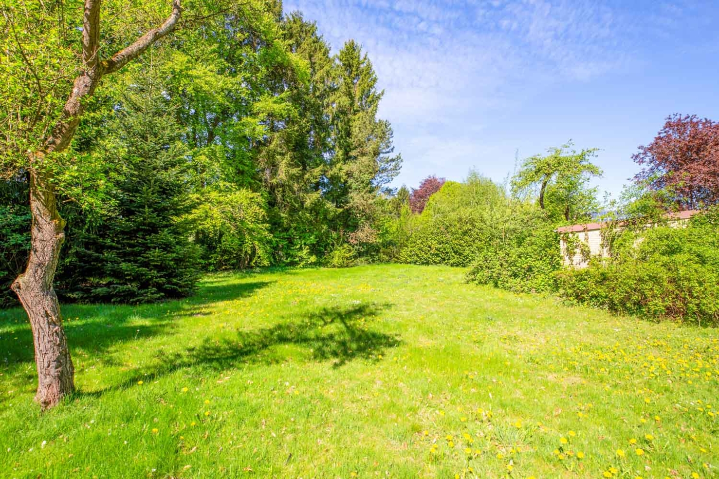 Grundstück-22956-Grönwohld-Thonhauser-Immobilien-GmbH-6