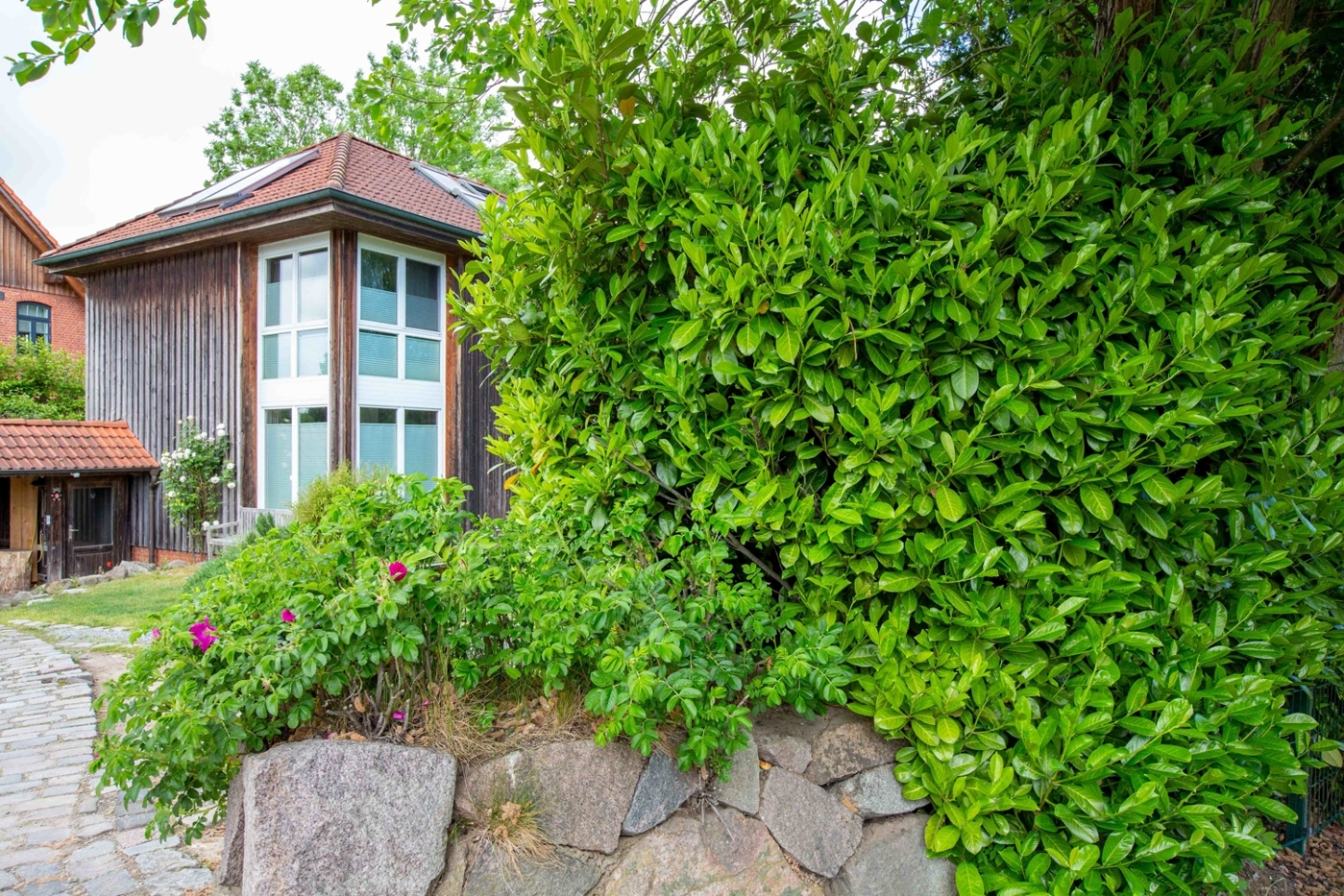 Vermietetes-Einfamilienhaus-mit-Doppelcarport-21493-Grabau-Thonhauser-Immobilien-GmbH-15