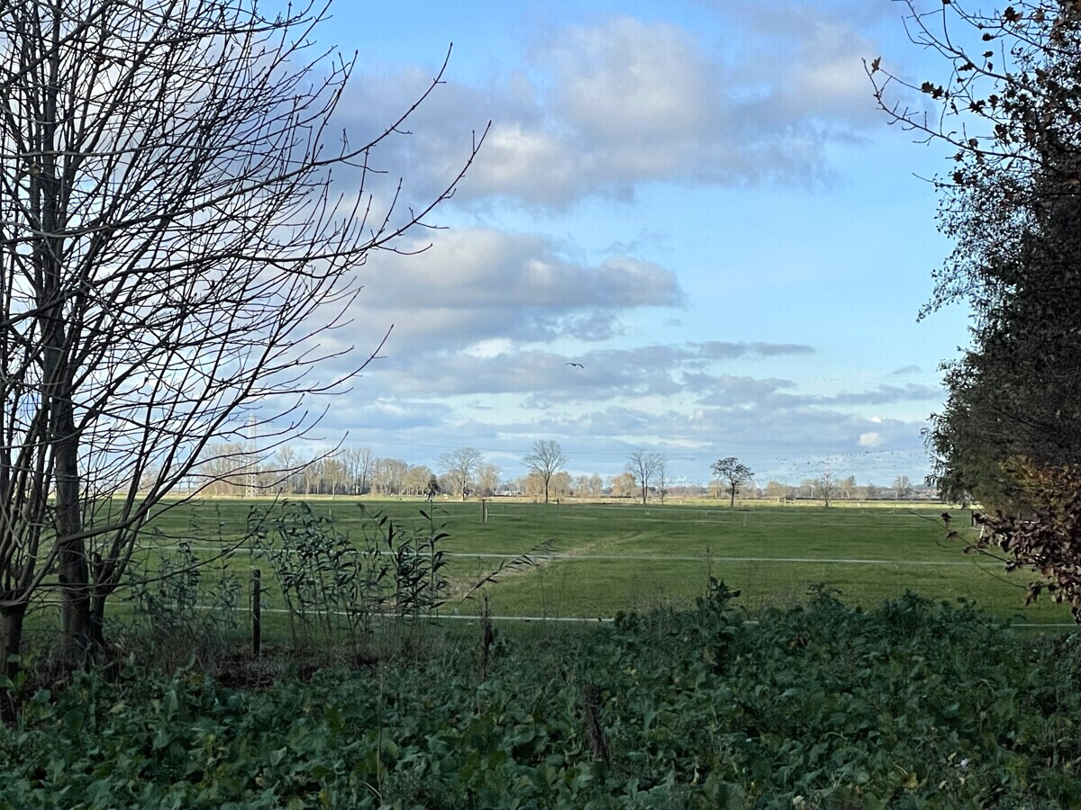 Landfläche