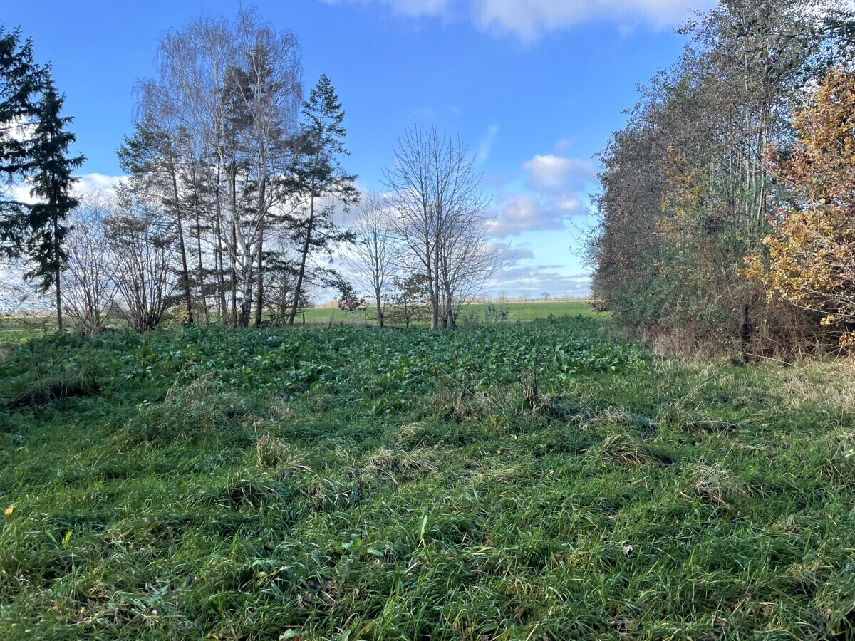 Landfläche