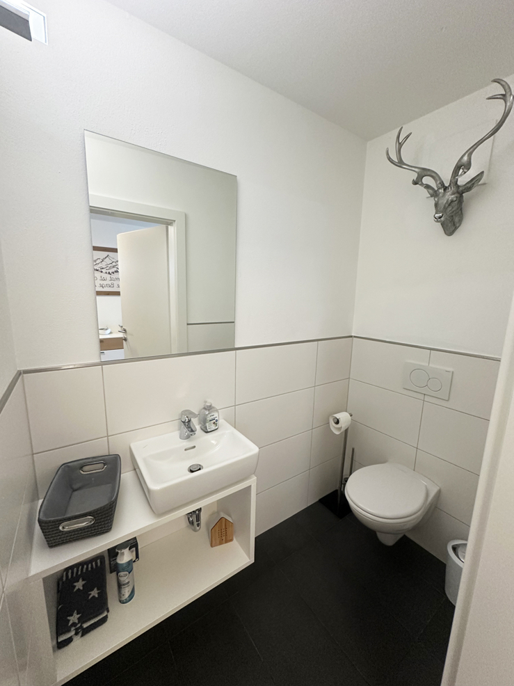 topspeed-immobilien-WC - B1-Salzburg-Altenmarkt_im_Pongau-Naturnah_&_zentral:_Stilvolle_4-Zimmer_Erdgeschosswohnung_mit_großer_Terrasse_in_Ski_amadé-Nähe