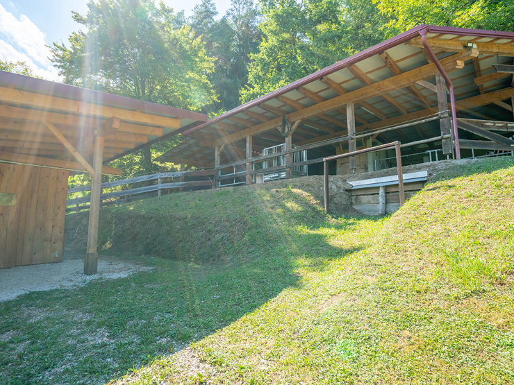 topspeed-immobilien--Steiermark-Leutschach_/_Pößnitz-Zwischen_den_Weinbergen_–_Einzigartiges_Landgut_an_der_Südsteirischen_Weinstraße_mit_6,9ha_Land