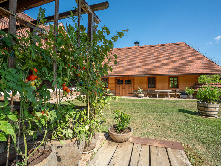 topspeed-immobilien--Steiermark-Leutschach_/_Pößnitz-Zwischen_den_Weinbergen_–_Einzigartiges_Landgut_an_der_Südsteirischen_Weinstraße_mit_6,9ha_Land