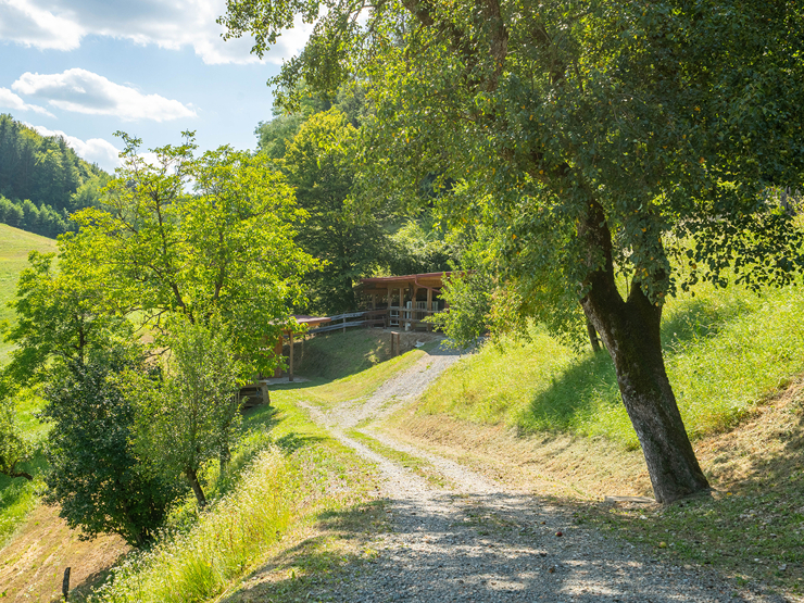 topspeed-immobilien--Steiermark-Leutschach_/_Pößnitz-Zwischen_den_Weinbergen_–_Einzigartiges_Landgut_an_der_Südsteirischen_Weinstraße_mit_6,9ha_Land