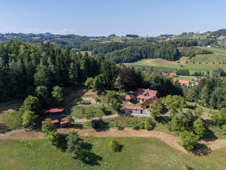 topspeed-immobilien--Steiermark-Leutschach_/_Pößnitz-Zwischen_den_Weinbergen_–_Einzigartiges_Landgut_an_der_Südsteirischen_Weinstraße_mit_6,9ha_Land