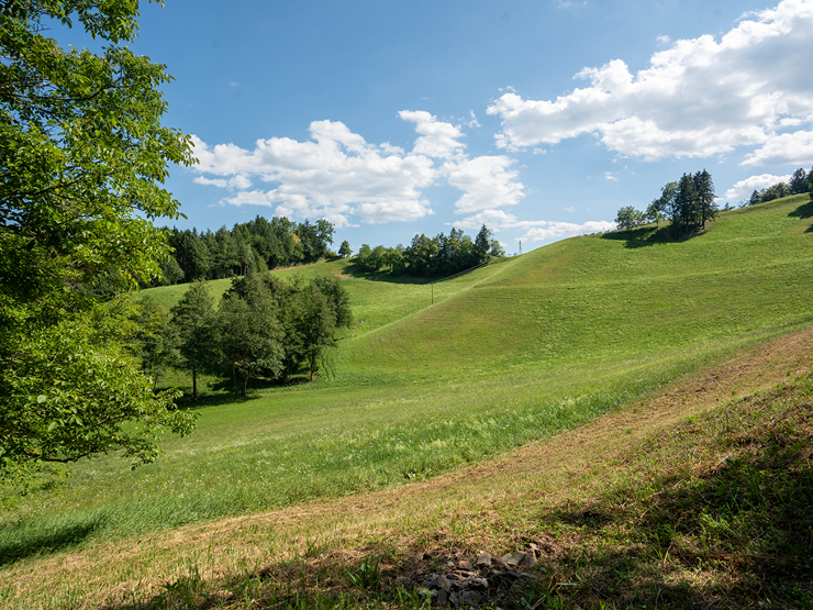 topspeed-immobilien--Steiermark-Leutschach_/_Pößnitz-Zwischen_den_Weinbergen_–_Einzigartiges_Landgut_an_der_Südsteirischen_Weinstraße_mit_6,9ha_Land
