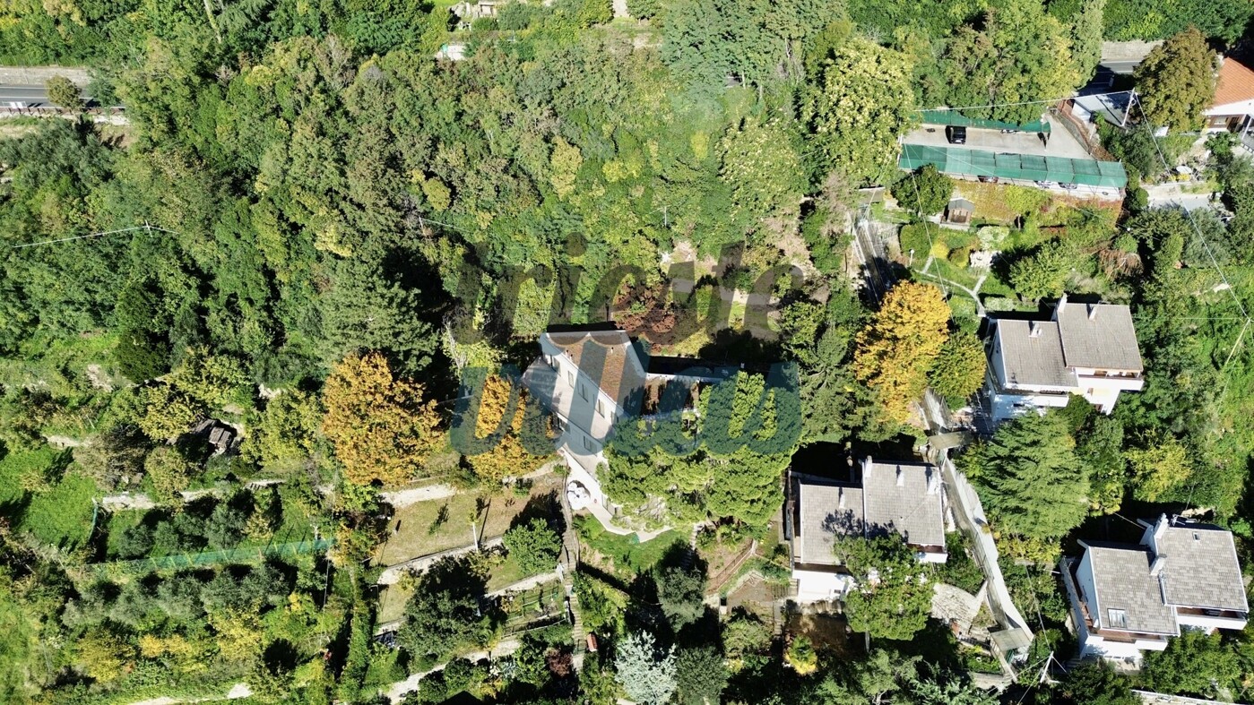 DJI_0254