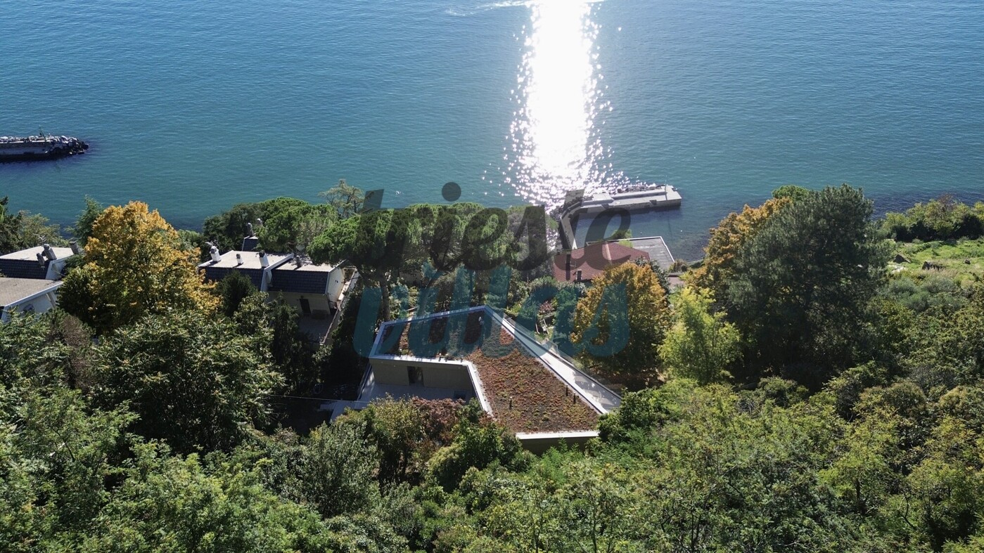 DJI_0282
