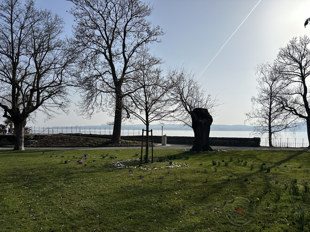 Historisches Denkmaljuwel am Bodensee: Exklusive Maisonette mit spektakulärem Se ... - Foto 5