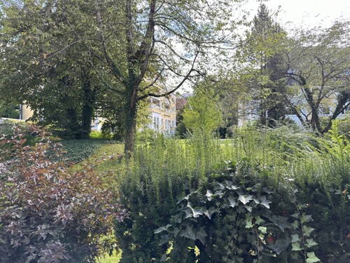 Titelbild_Blick_von_Terrasse_Sommer