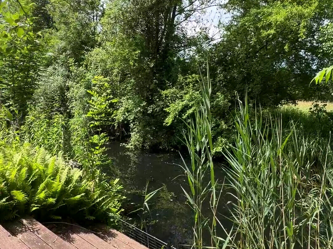 Zugang zum Kanal