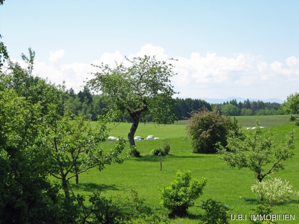 Der Blick vom Westbalkon