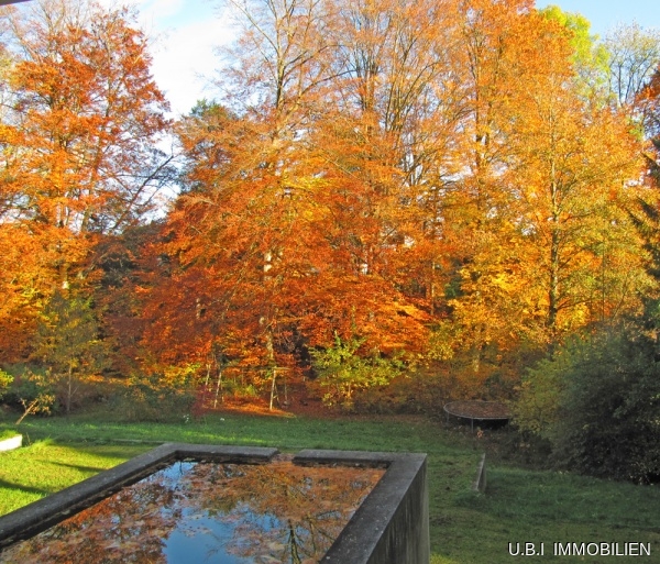 Suedlicher Garten im Herbst