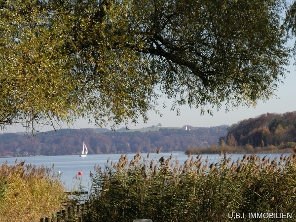 Idyllischer Karpfenwinkel