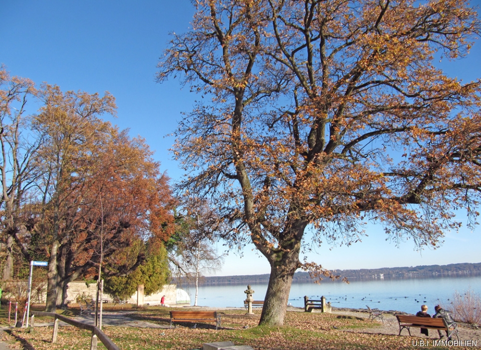 Der idyllische Thomaplatz