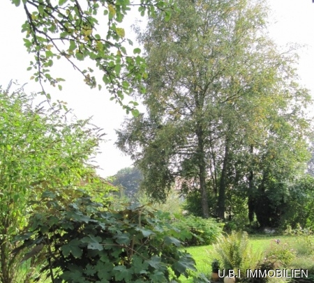 Blick in den Garten nach Süden