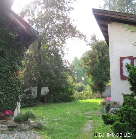 Blick in den Garten nach Weste