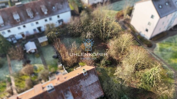 Übersicht Garten