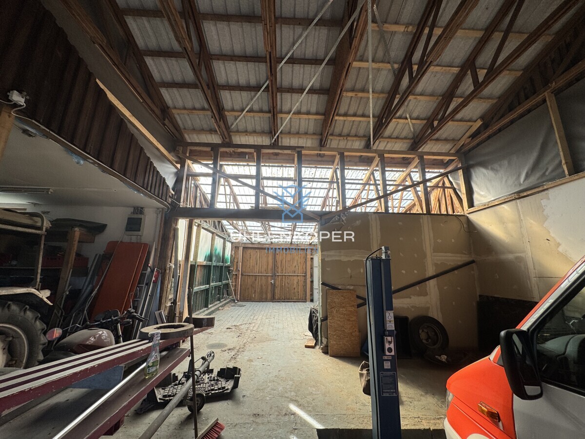 Halle 2 Vorderseite neben Carport