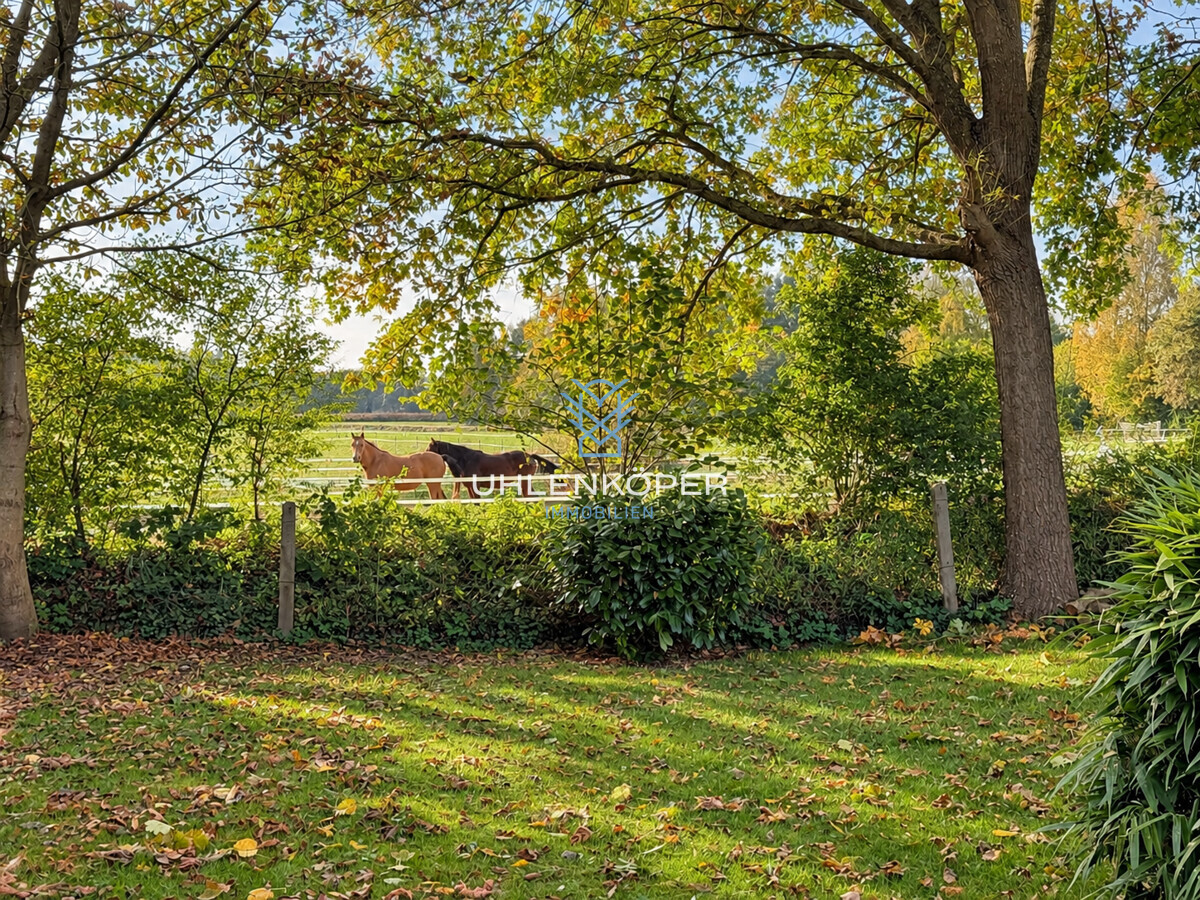 Ausblick Garten