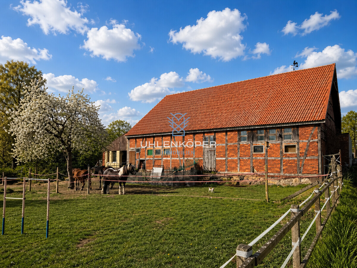 Stall und Wiesen