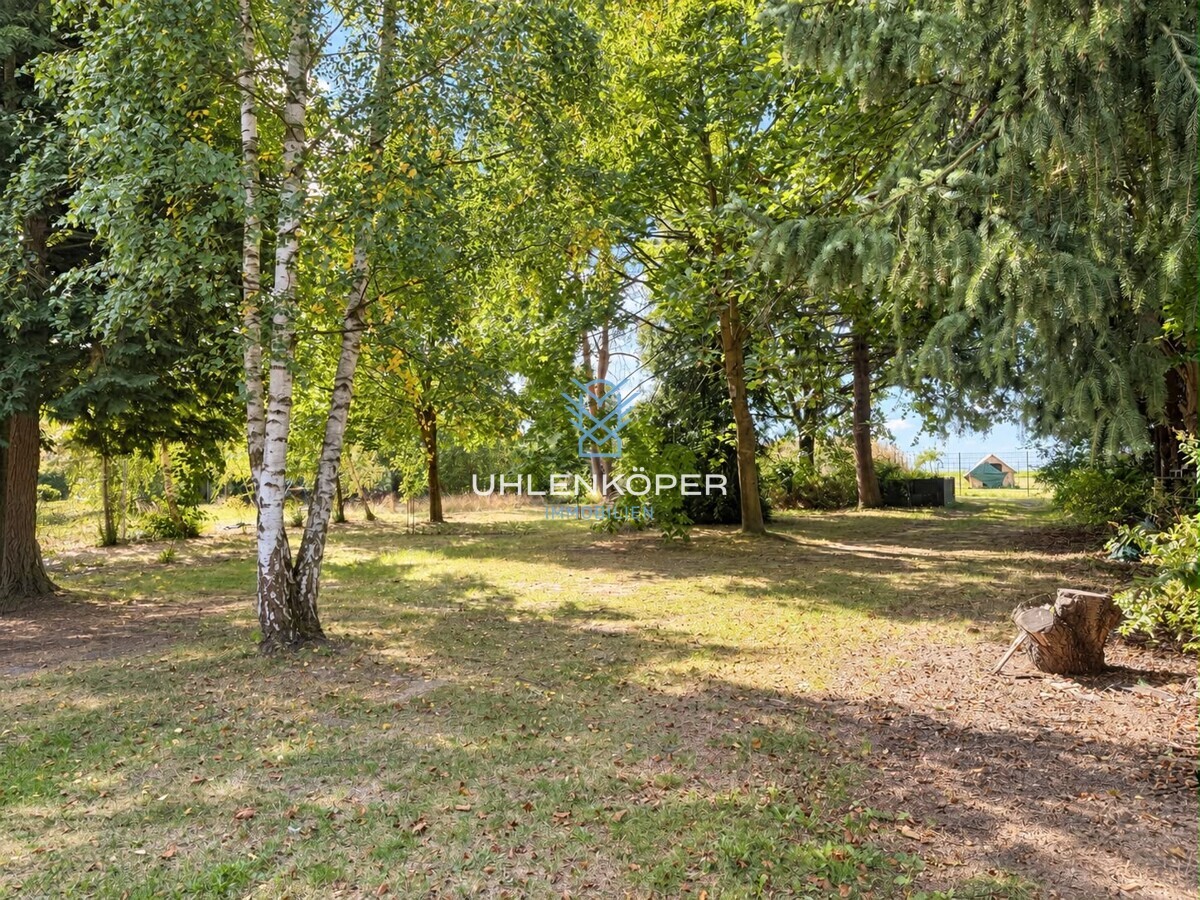 Großzügige Garten- und Freifläche