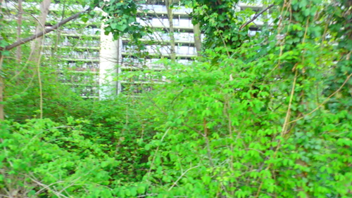 Blick auf Wiener Weg 1 - 5 b