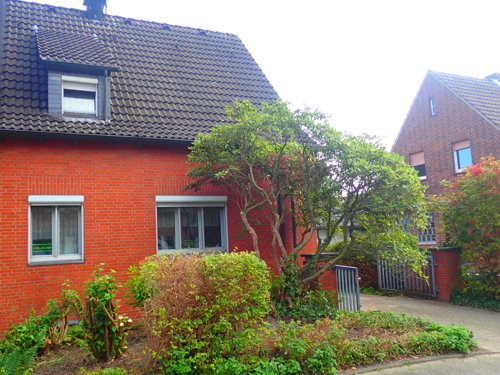 Der Garten hat eine neue modische Frisur