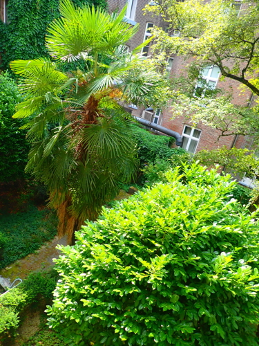 Blick aus Fenster LInks