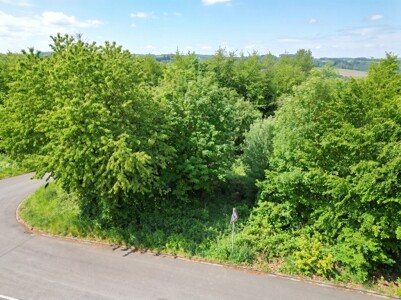 Umgebung und Aussicht