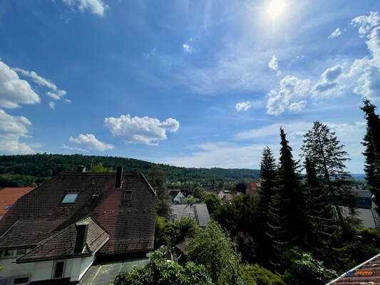 Ausblick