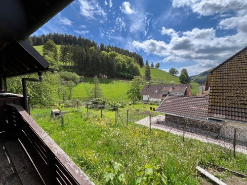 Ausblick vom Balkon 