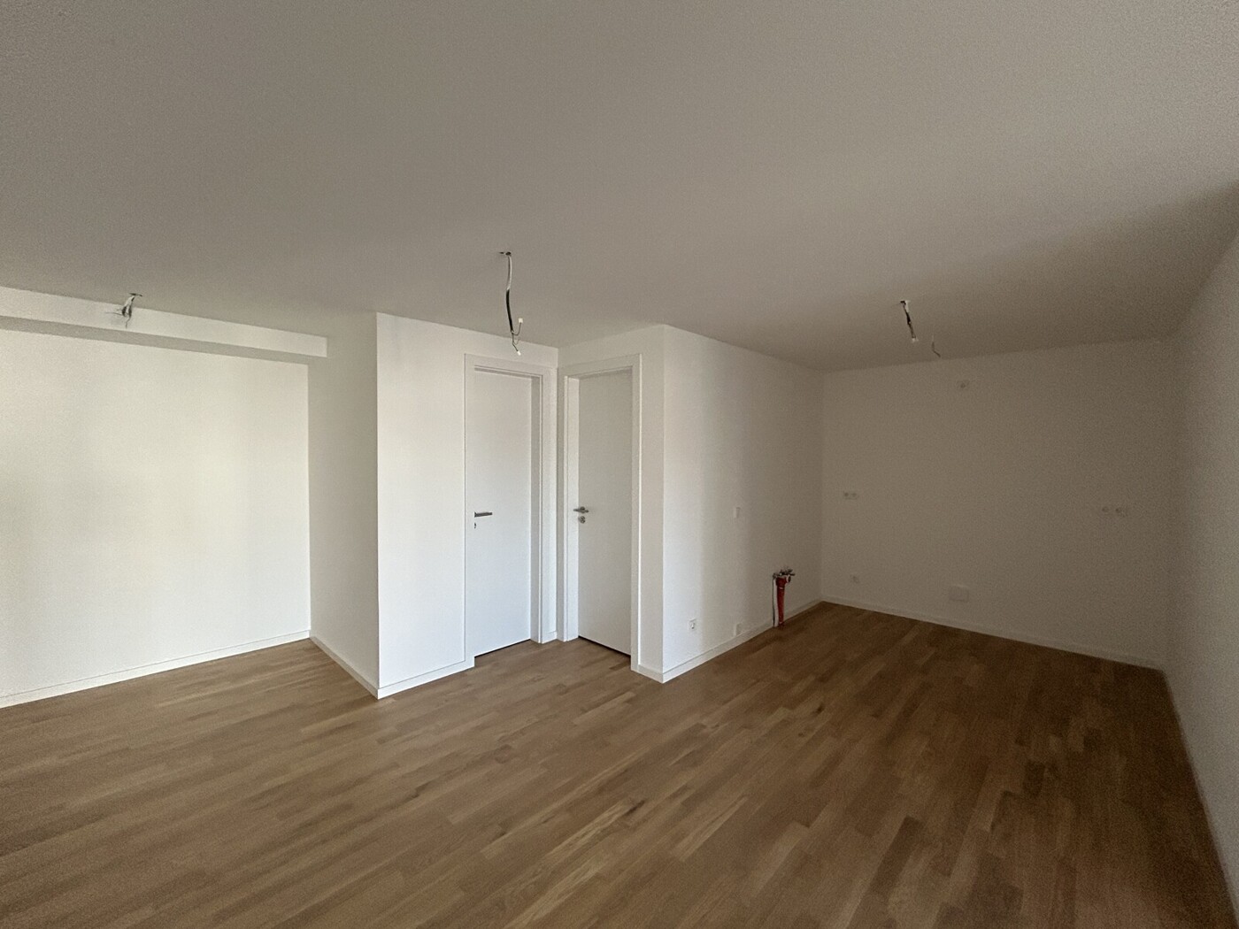 Eingang und Essbereich