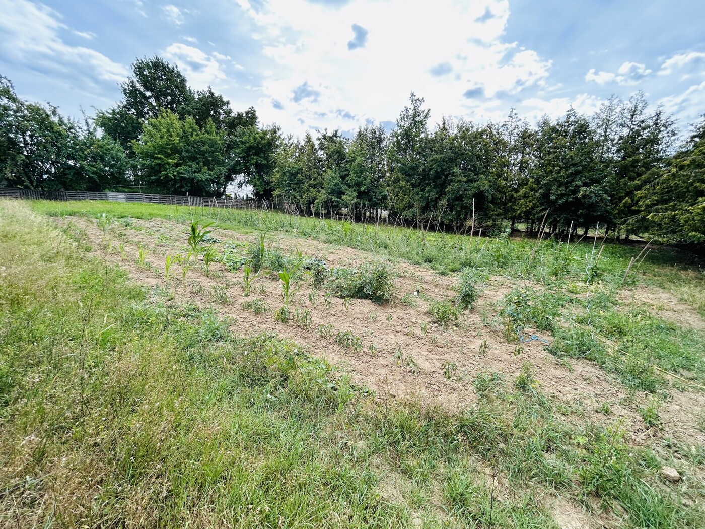 Bauerwartungsland im Bieterverfahren