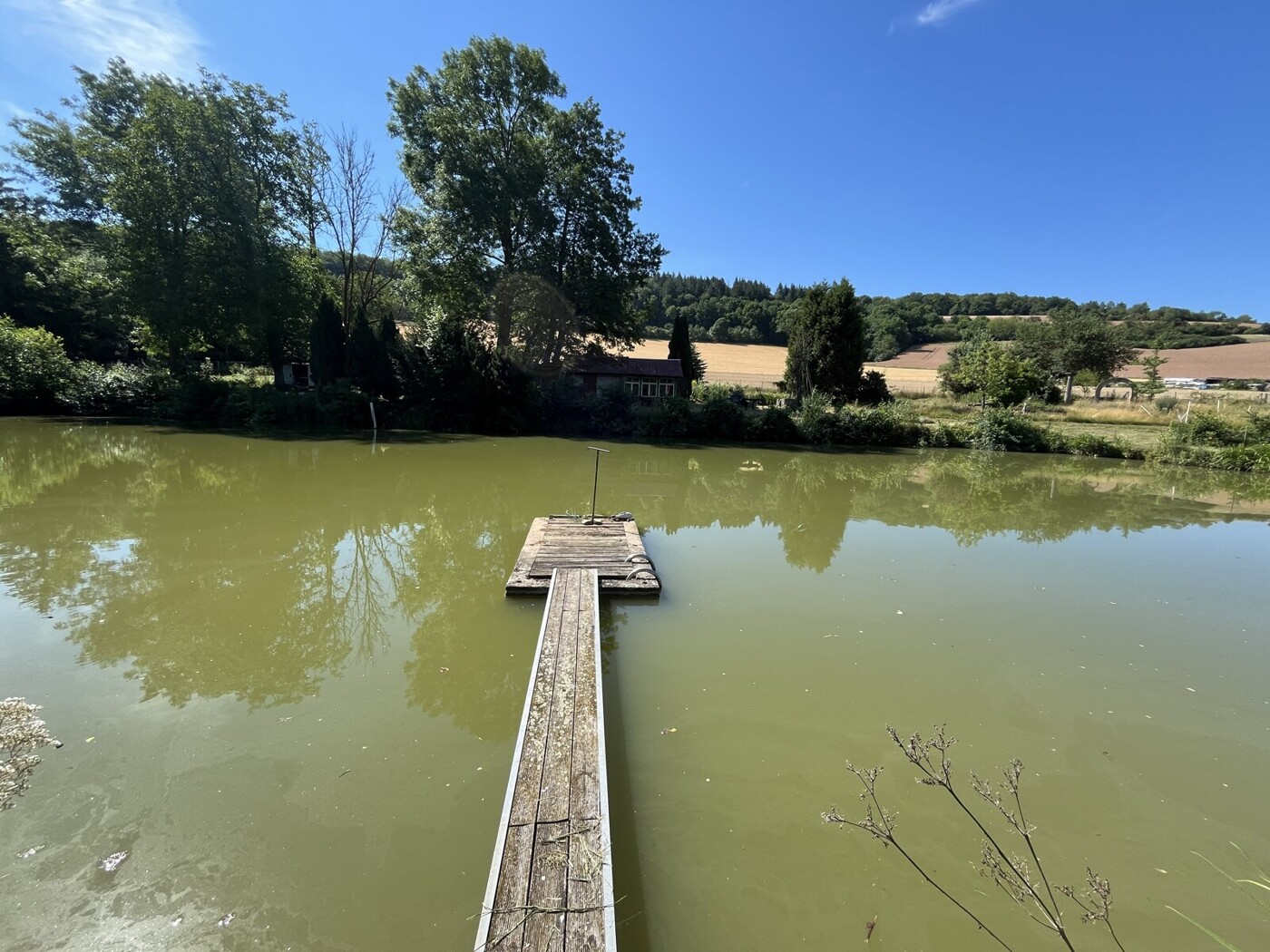 See - Fischteich