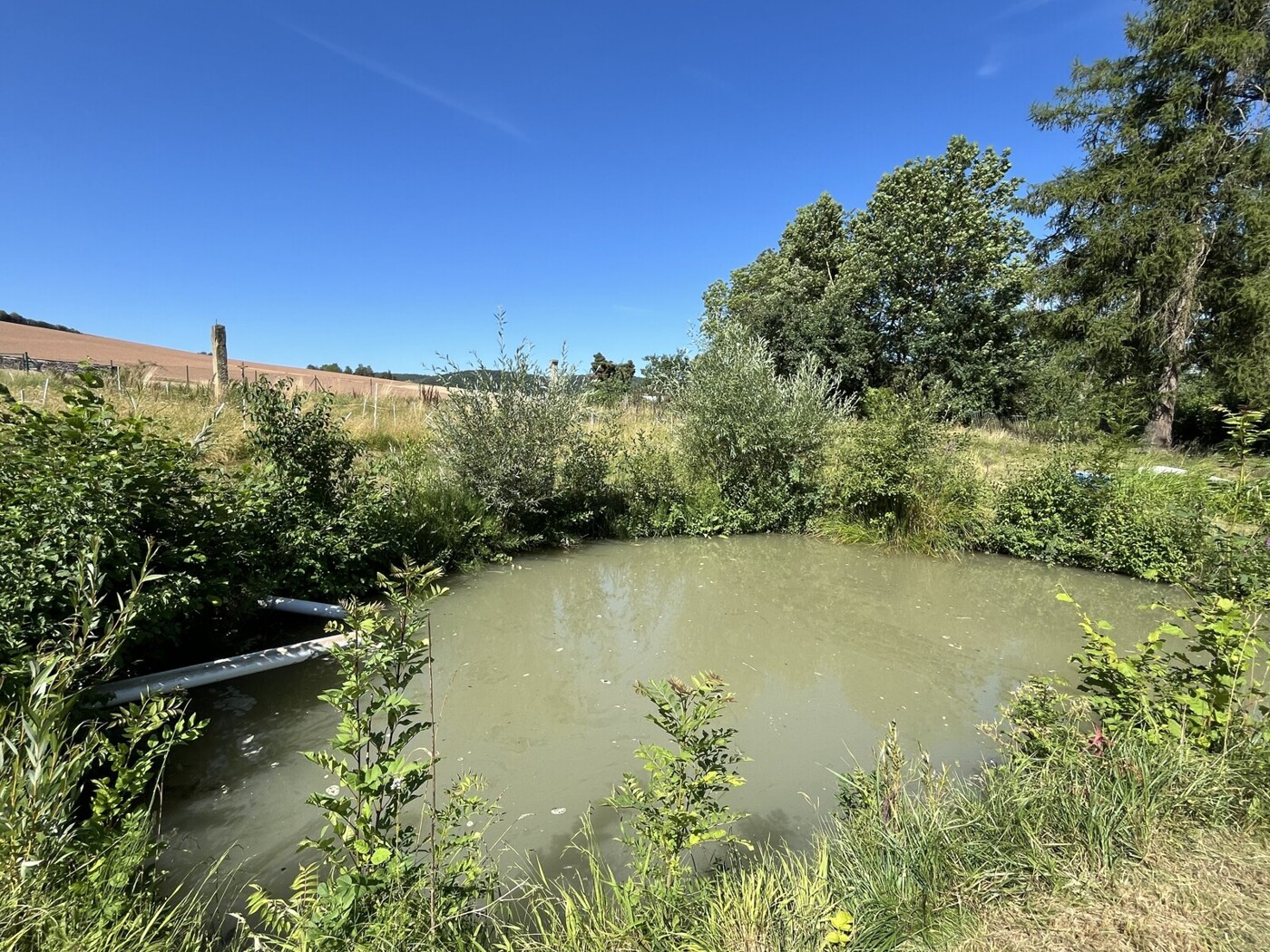 Fischteich
