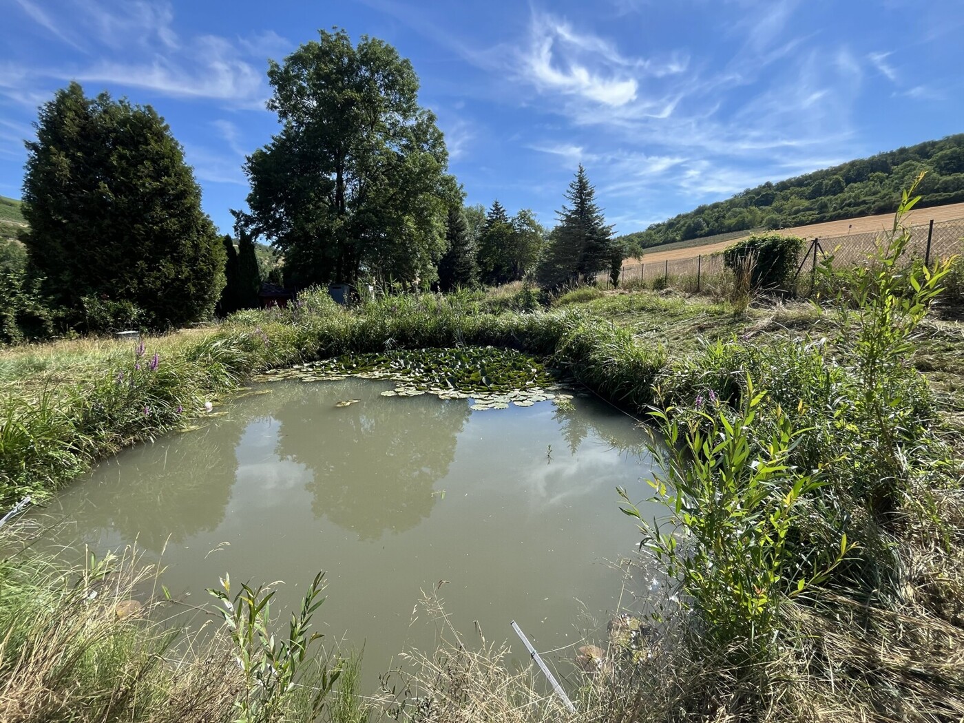 Bieterverfahren - Naturparadies mit ca. 8.200m² Grundstück mit Fischteichen und Gartenhütte